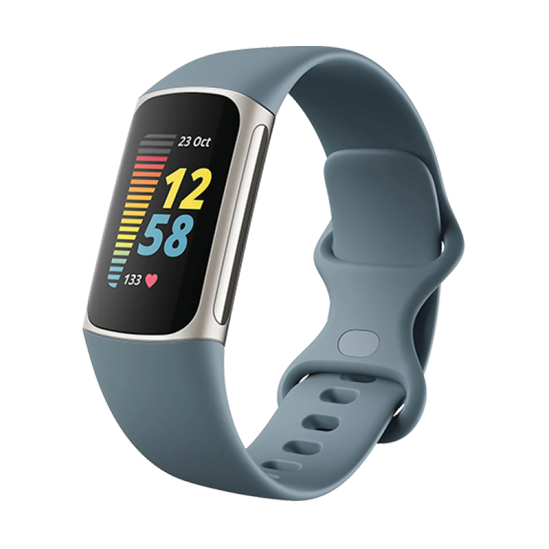 Watch Fitbit  Charge 5 - Steel Blue/Platinum DE
